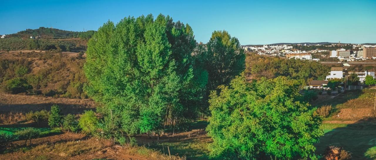 Alojamento Local Do Arado براغانسا المظهر الخارجي الصورة